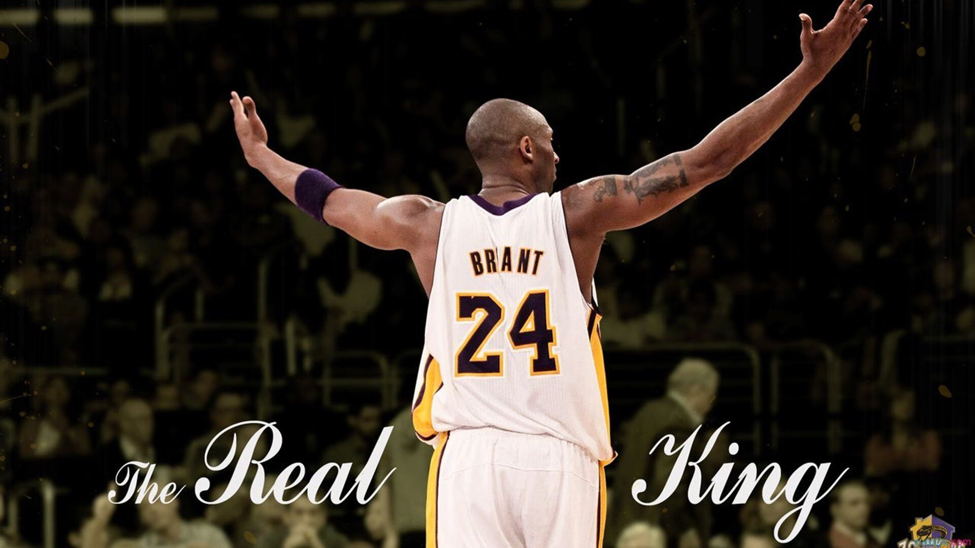 法甲新星闪耀时代：未来领袖逐步崭露头角！，法甲最佳新秀