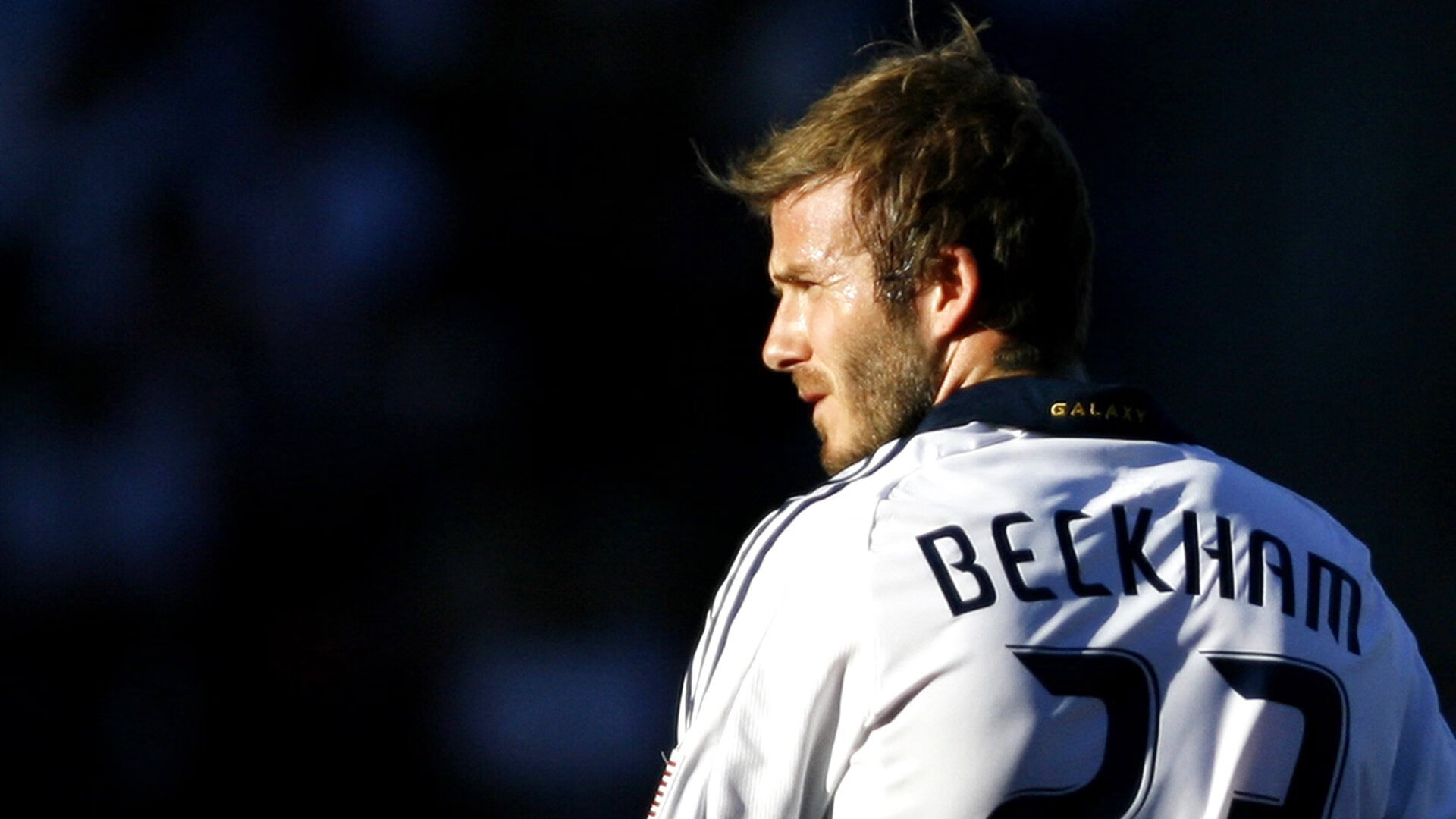 美洲杯赛场环境保护措施落实情况